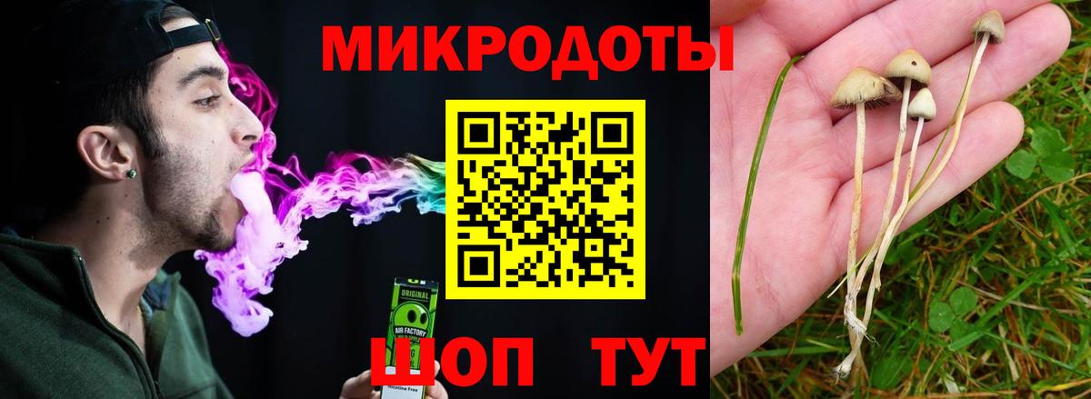 Галлюциногенные грибы Magic Shrooms Ухта