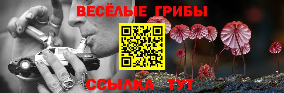 Ухта  Галлюциногенные грибы Psilocybine cubensis  Вход с VPN  Псилоцибиновые грибы мухоморы 
